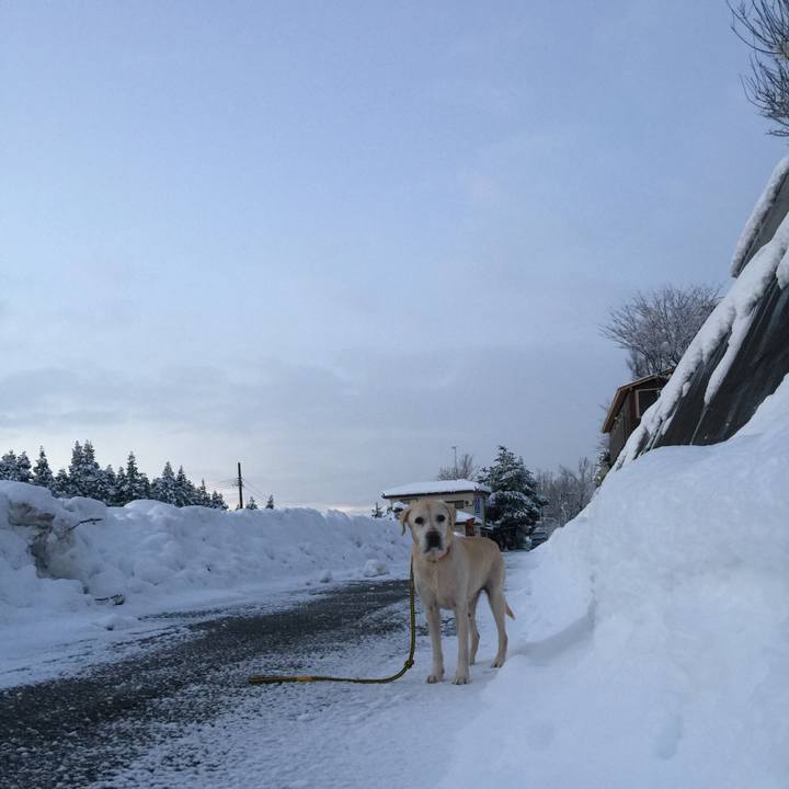 1b1b43e2 33b3 4752 b47d f9ea8b353862 1515795709728