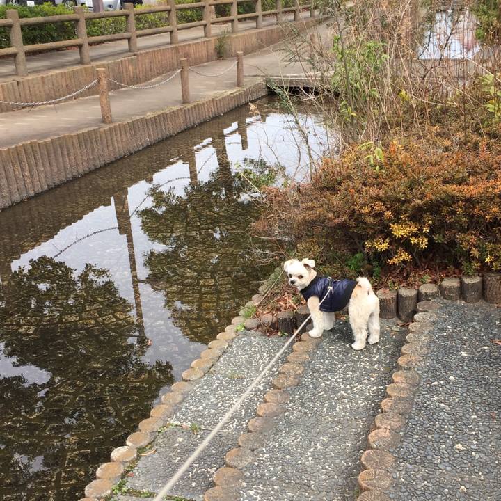 1b1b483a 1551 4811 b5a3 418e7162ec9b 1552192128670