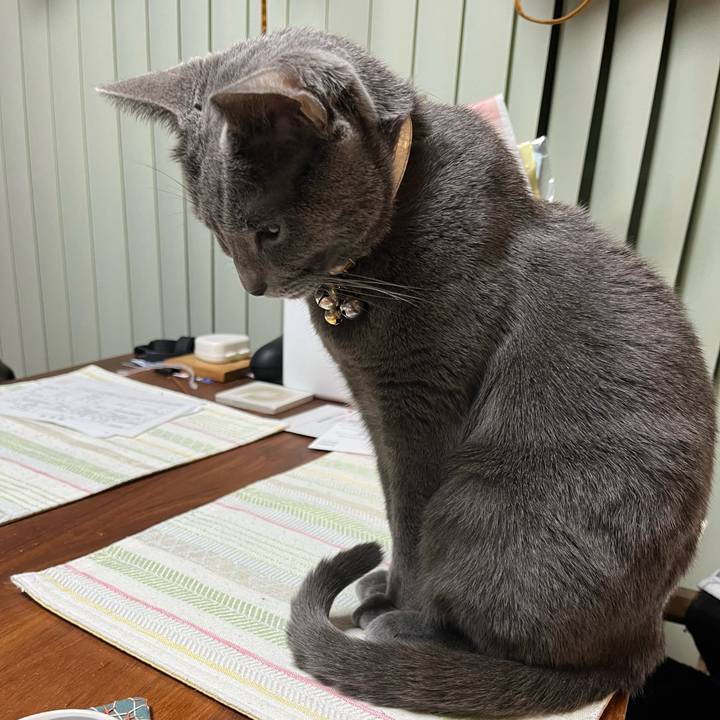 1b1b62a4 7997 41df b834 ea6220a3a549 1705481555948