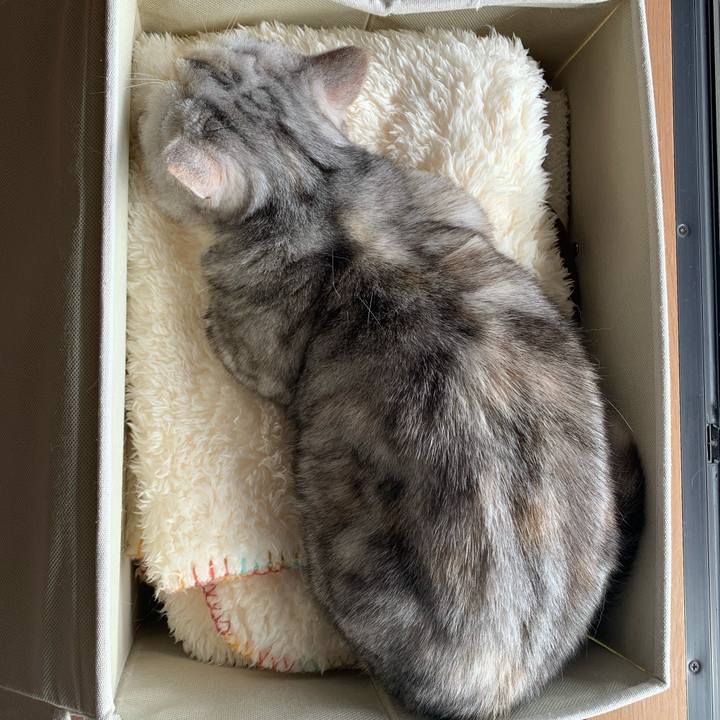 1b1b9b18 2ddc 4efb 9721 68cc89093003 1709346047074