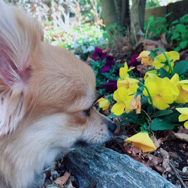 1b1bc46a 38c8 424c a343 c5813b961201 1520516093131