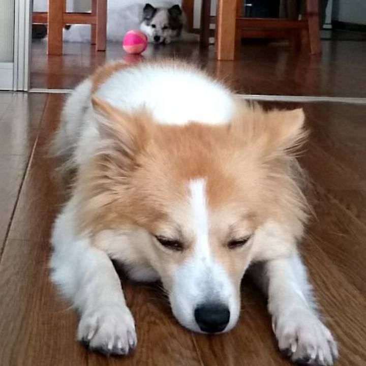 1b1bd49d 98e0 4f99 8820 71c3adde40af 1509259083356