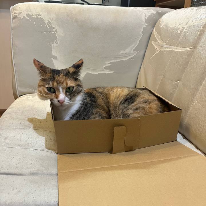 1b1c64e6 f91b 44c2 a5cb 847671992124 1717767924803