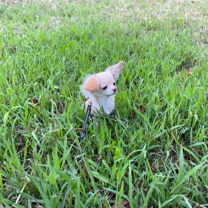 1b1c7893 0612 4b0a a72d f8d56f1cd855 1599731789372