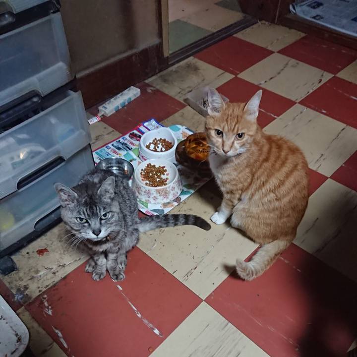 1b1cb845 929b 4ffc 97ca cc1412d014e0 1595188608163