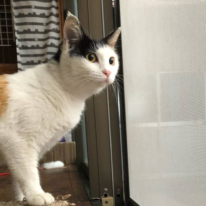 1b1cbfcc 739b 4150 9cee 5cc3262cee39 1621288212612