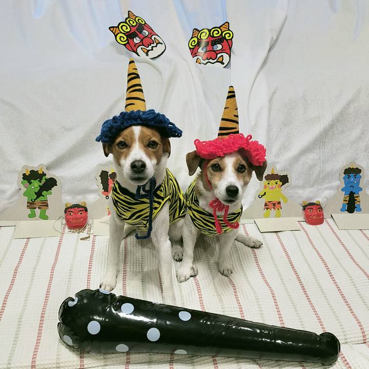 1b1cc689 538e 4318 92e6 3bd9d78ef842 1770101963611