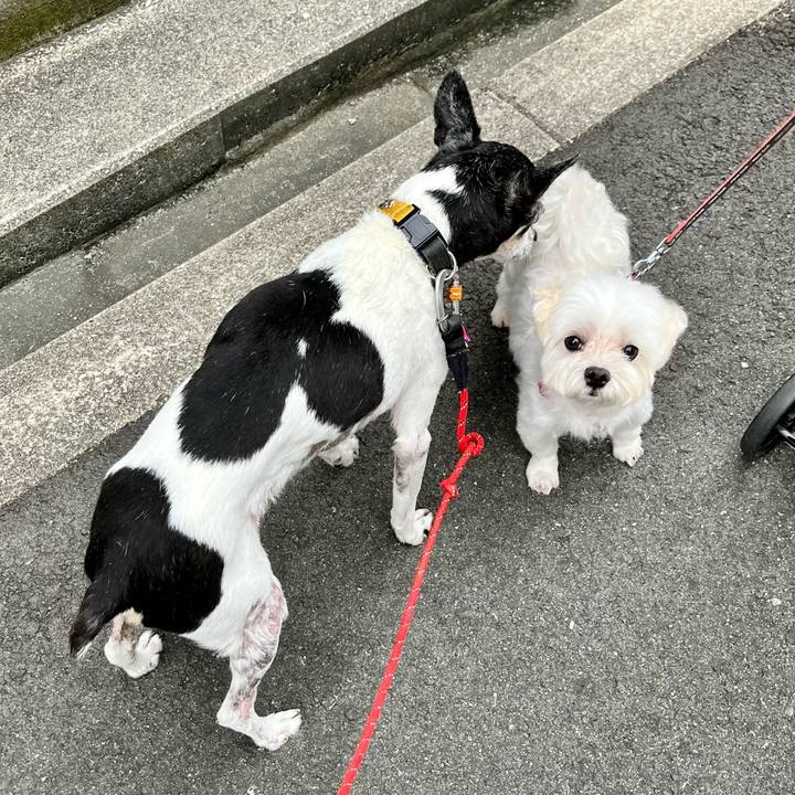 1b1d5166 978f 4472 8255 fc2fdf2eca57 1658269409384