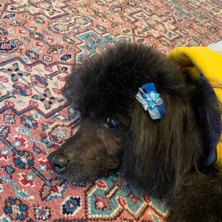 1b1d5fd7 e2e2 4ed6 af03 8b93c855f861 1612917000297