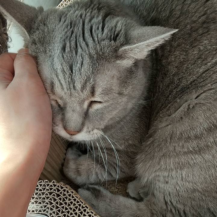 1b1dd8d3 ec8d 450c bdaa d5c1017462e9 1605497909934