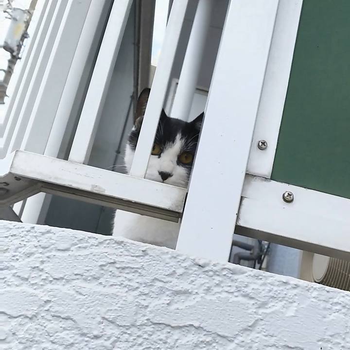 1b1e17be 127e 4776 bf30 ebedcc5f11e9 1542960026750