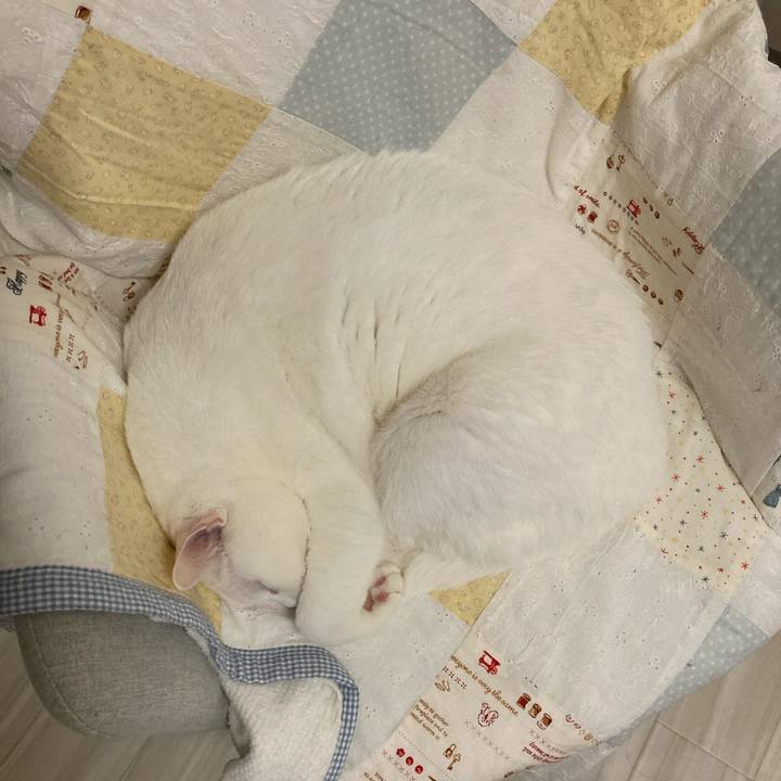 1b1e3f5a ad04 4517 9158 da4c192736ef 1702302224231