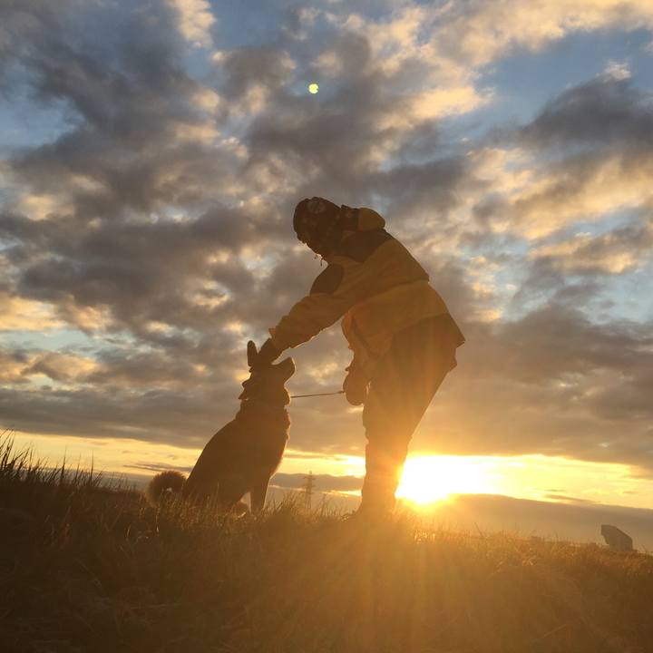 1b1e40d1 638b 46cf 9879 4438f1948c8a 1609671236780