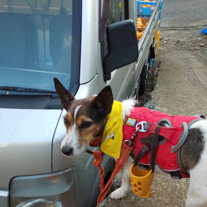 1b1e6349 391a 4610 b27b 40d4db473fae 1576473155274