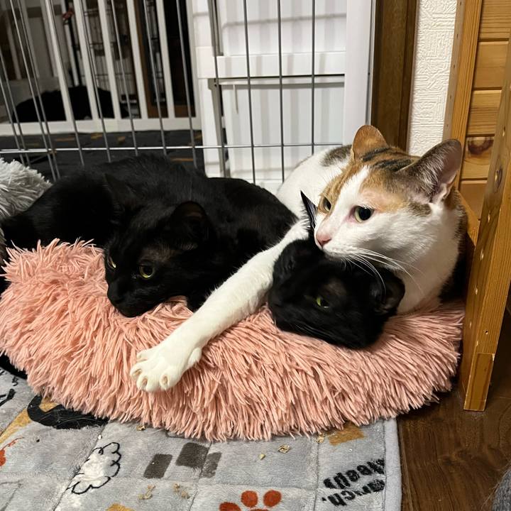 1b1e7b5b afbc 4bba 9b71 eafa8de52c07 1762071026582