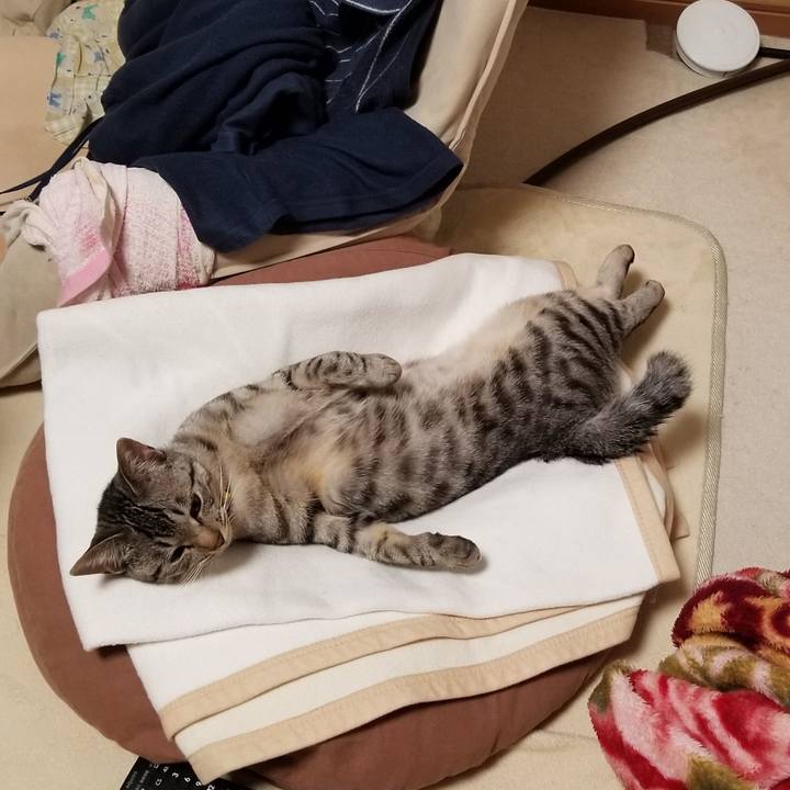 1b1f08da 62e7 4396 843e 32ed50f969fe 1677939463010