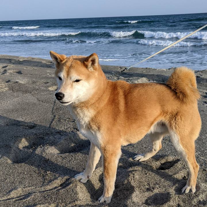 1b1f096e 6596 4e2e 9534 04ef7d1713ba 1679388802205