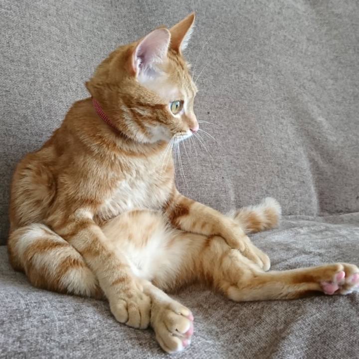 1b1f13b1 4996 4140 8e4e 4abe7e7a308d 1562746318701