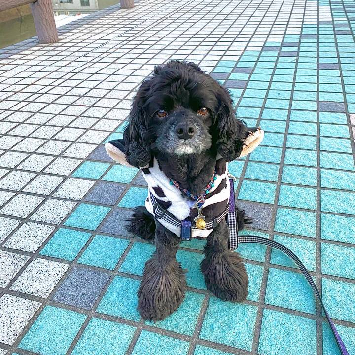 1b1f1497 ace3 4a65 9b7a ae59e2a41eed 1609920189278