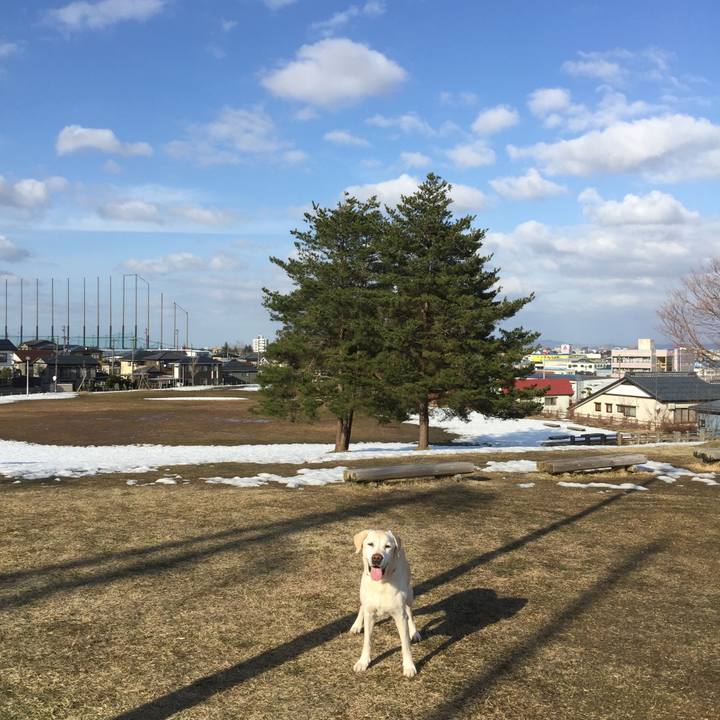 1b1f4279 64ca 4bd7 9de4 af79e7cb5a2b 1549283078410