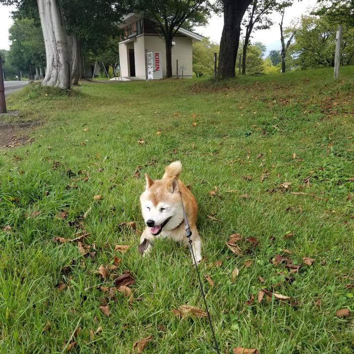 1b1f485d 76a4 44a5 9f97 64ad73de50aa 1725781046795