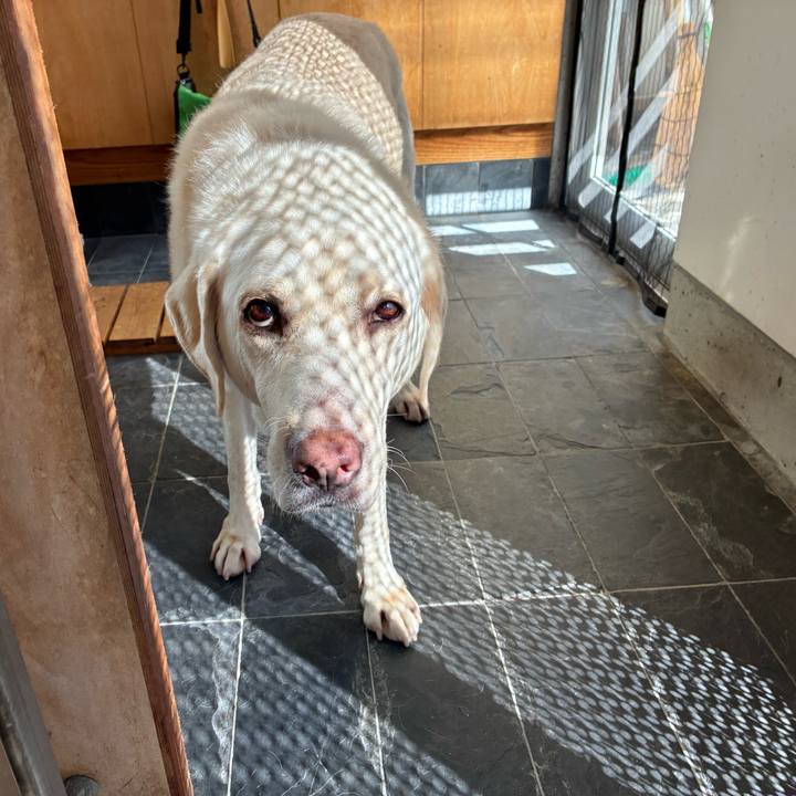 1b1f5452 6b41 4800 bc58 f21e80755c29 1762002614440