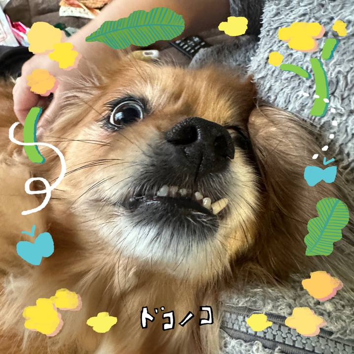 1b1f87af bfb5 4c5e 8f29 439a29077cd6 1744320485456