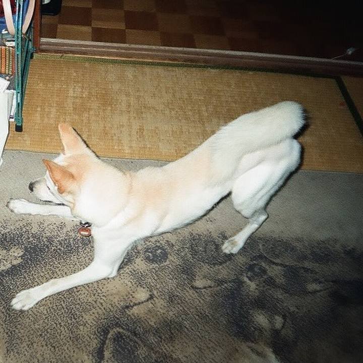 1b1f89e0 2e15 4707 aa9a 8e4c00dfd552 1507986891279