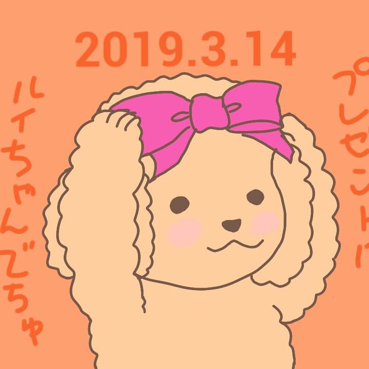 1b1fb11d ae44 4b27 b6aa 9a542da45695 1552513651673