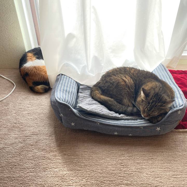 1b1fc212 d20f 4670 a0a7 3a62e138d570 1612066502929