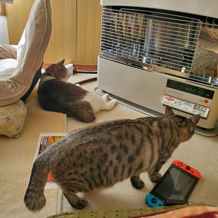 1b1fc584 3deb 46b7 a280 7d1a353a7e38 1697125120567