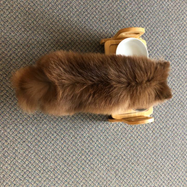 1b1fef6c 81b7 4674 8a39 990fad86b9e4 1533208455420