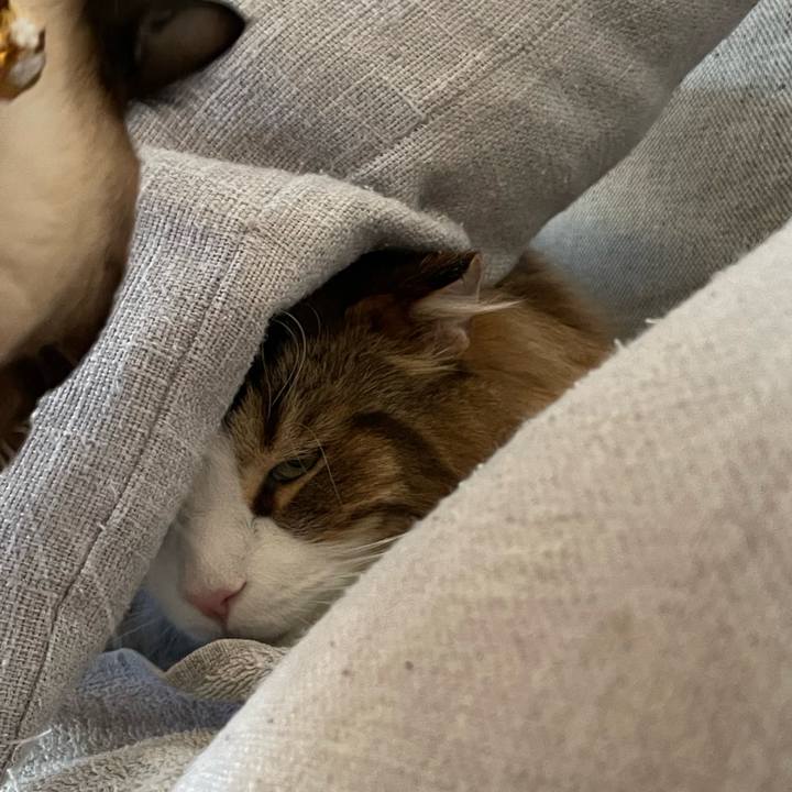 1b2008d0 87fc 437d b856 789afc042688 1714771526991