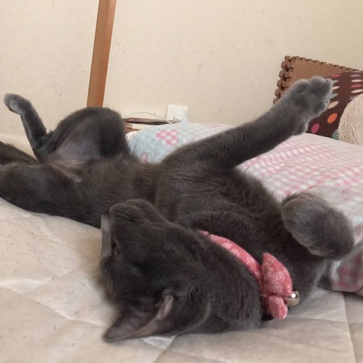 1b2011e2 051e 48dc b3b2 b5843f5c66ca 1558497797623