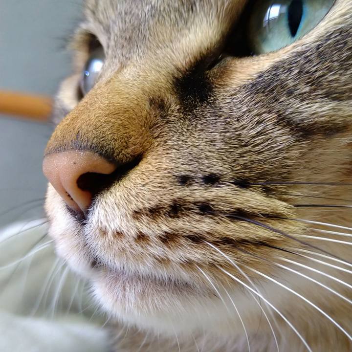 1b201e73 7e62 4a64 a2a6 1e7a5a73ab6e 1670027706313