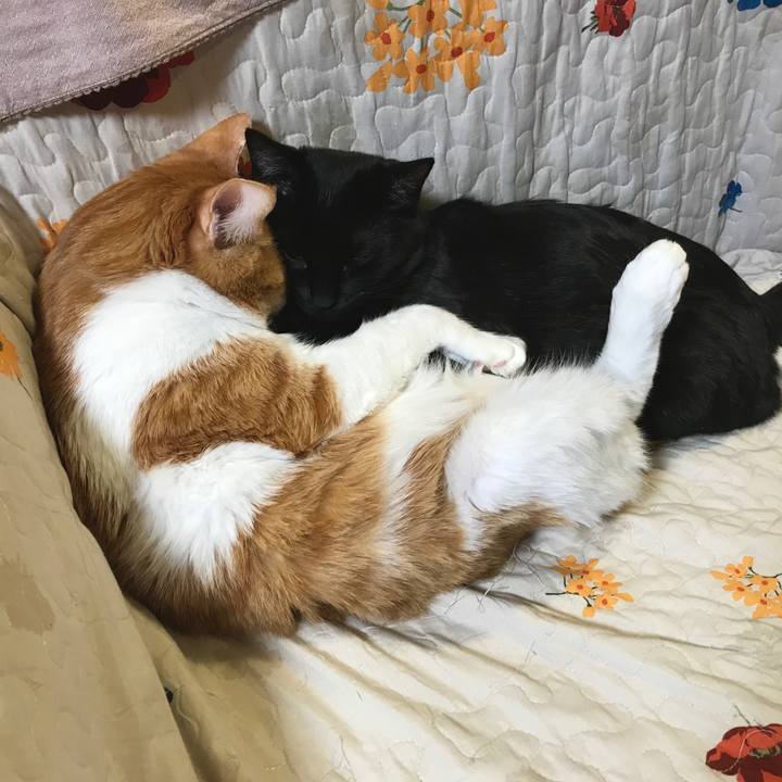 1b203412 2cc3 4ff3 88e7 e3812ffb2704 1578656378695