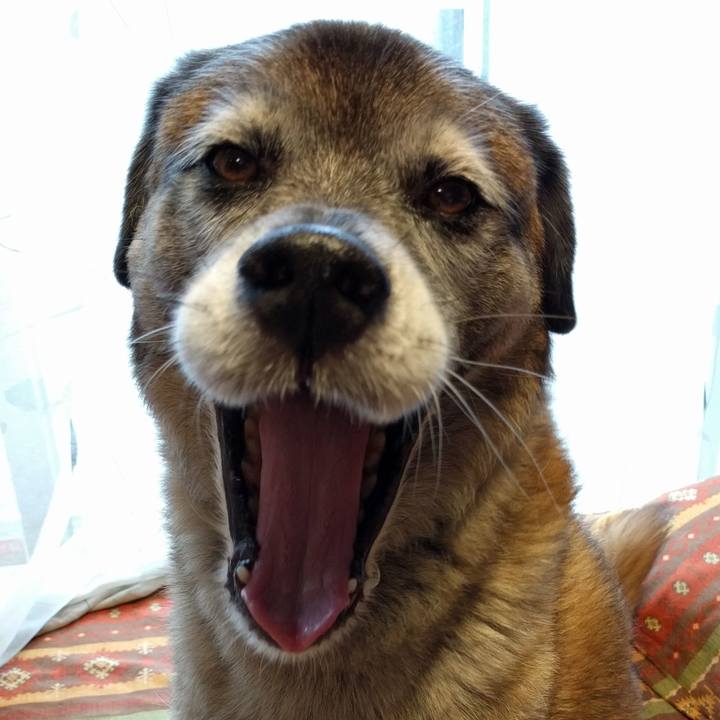 1b207493 e23b 4b4b a789 cdabc9d53ac1 1533627833705