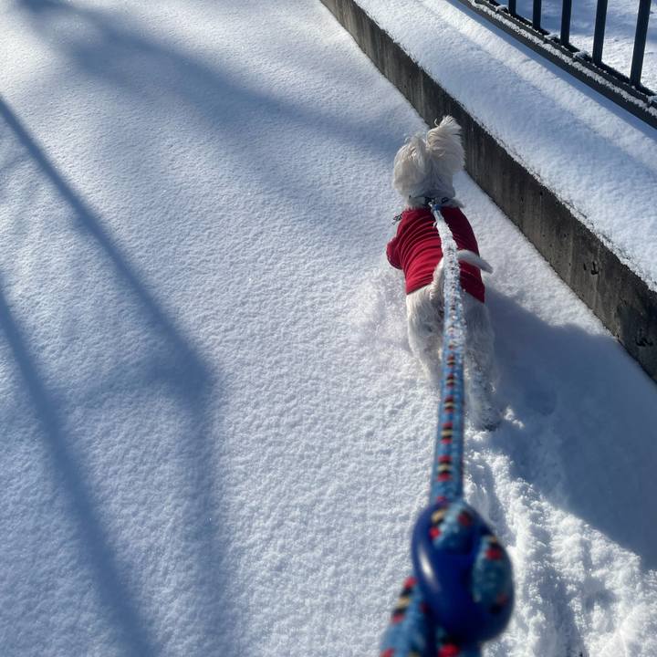 1b209404 f101 43d6 b556 9c937dd803a2 1769135023317