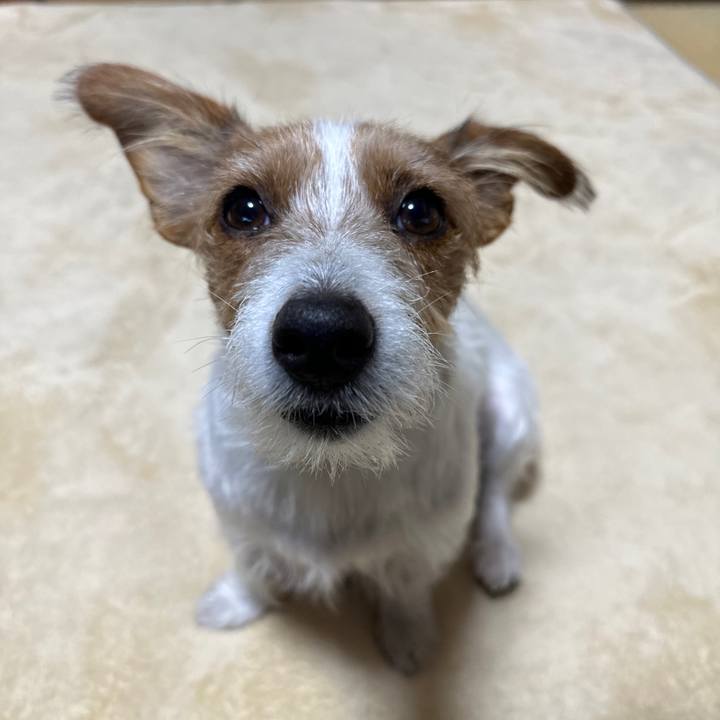 1b20a121 4569 49dc bf36 f27e46192c87 1761686762503