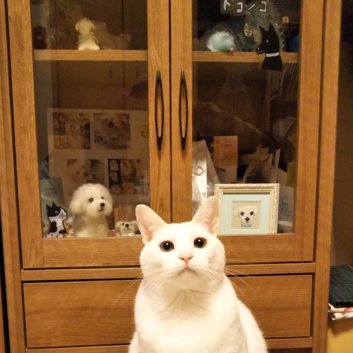 1b20a343 d678 41e2 b257 ab24c1f1d8d2 1546353566632