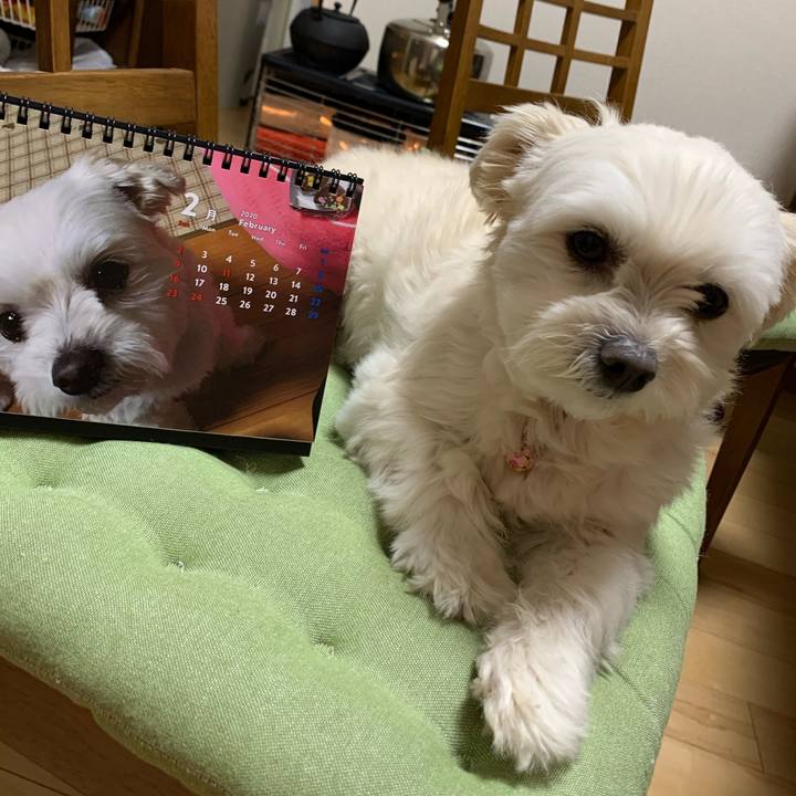 1b20c1eb 0a80 4d6f a04e 86c7d1c127ee 1582284630043