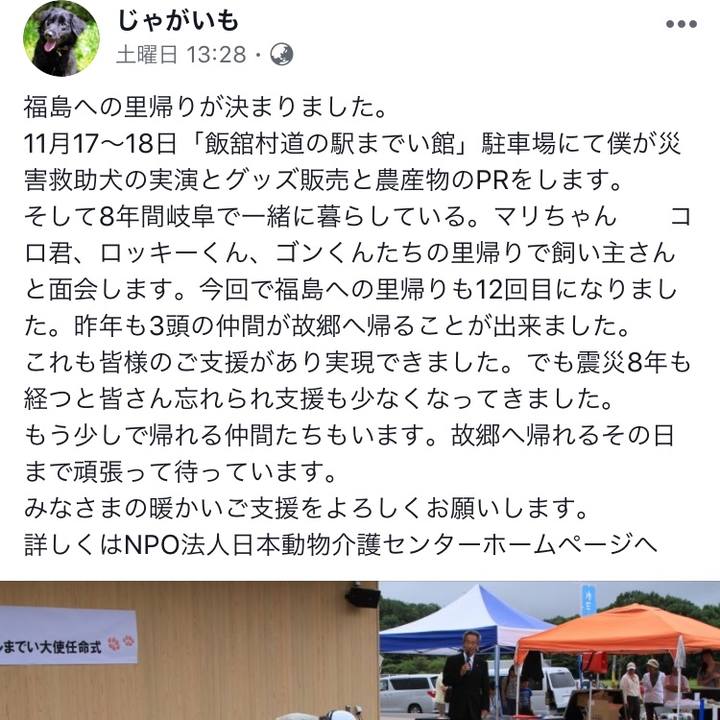 1b20f8e0 06d6 4fd5 93f3 92a63ea6a4a2 1541411297771