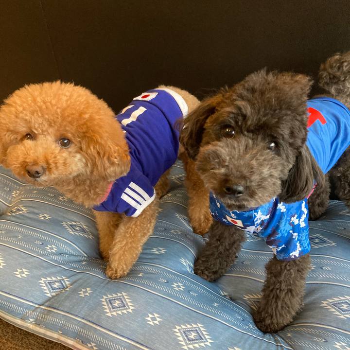 1b2111a1 0f6d 4e34 a962 b33193a05de6 1622709316479