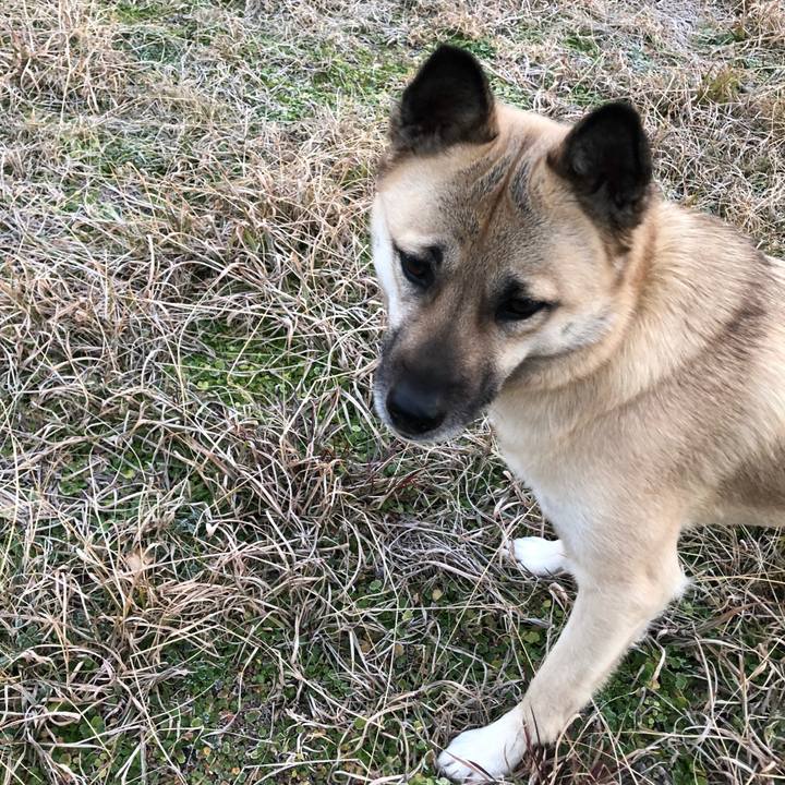 1b2111ae 3c0d 463a 9964 7e3ec0366744 1550493828532