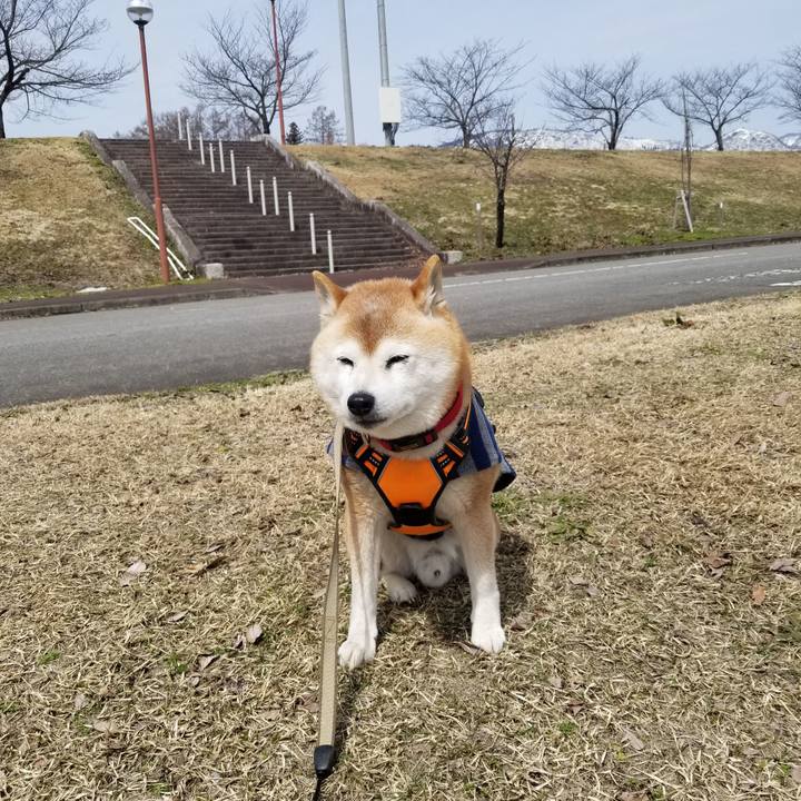 1b2117da 8c61 4174 825d b4c92b64293e 1711594413145