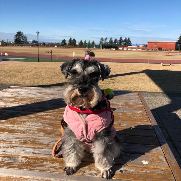 1b21656e 1ed3 40c2 908b d37125a6235b 1577597958593