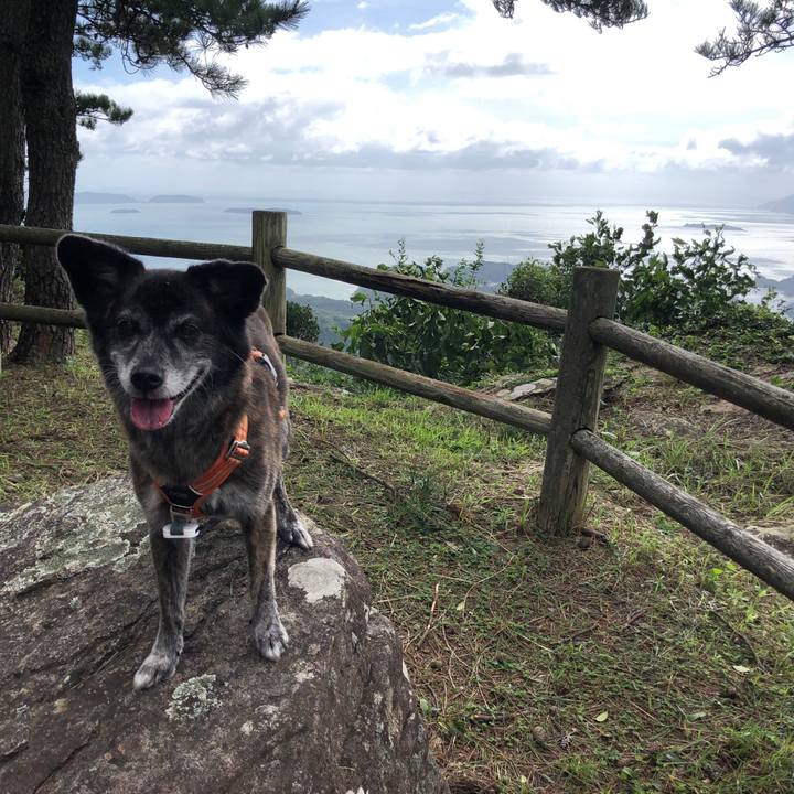 1b2168fb 31aa 4d3e af9a 9cab98c34eeb 1663298286617