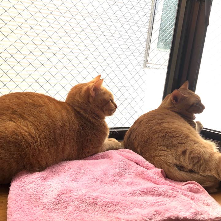 1b21717b 109f 46e5 8d83 91903f269f93 1601282793044