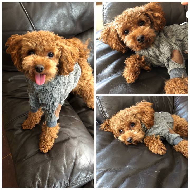 1b21add7 d2b3 4ed8 b950 9800315f490e 1513486820488