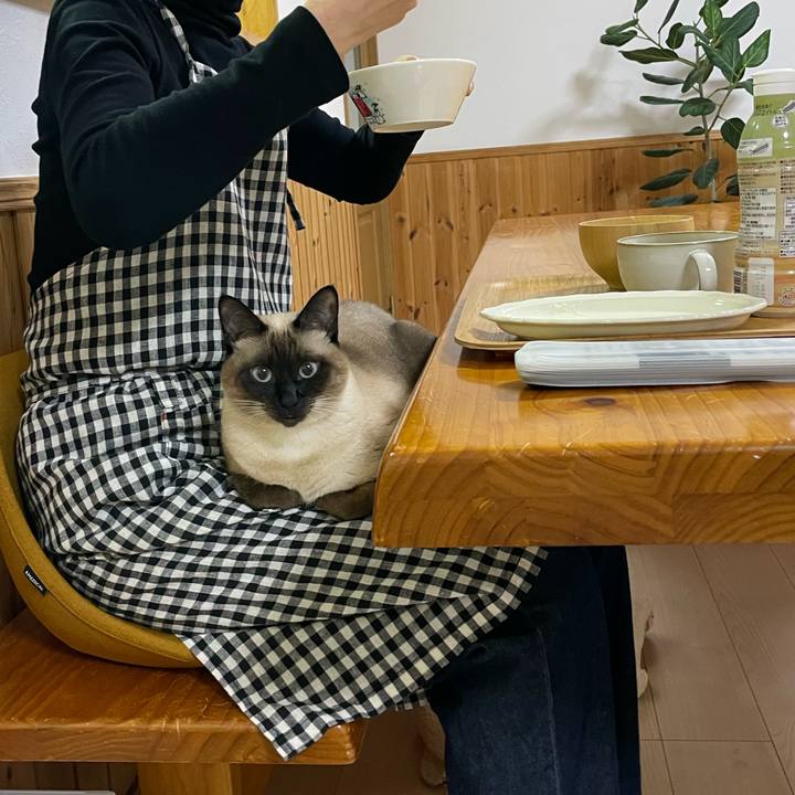 1b21d2df f978 43f3 9a2c d758c83c541c 1762896421009